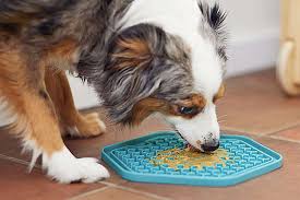 LickiMat Mini Soother Dog Feeder - Turquoise