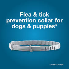 Seresto Collar for Dogs >8kg